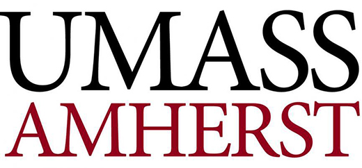 Poet Hoa Nguyen to Read at UMass Amherst Visiting Writers Series