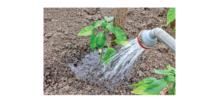 Make or Break It Time for the Summer 2025 Growing Season