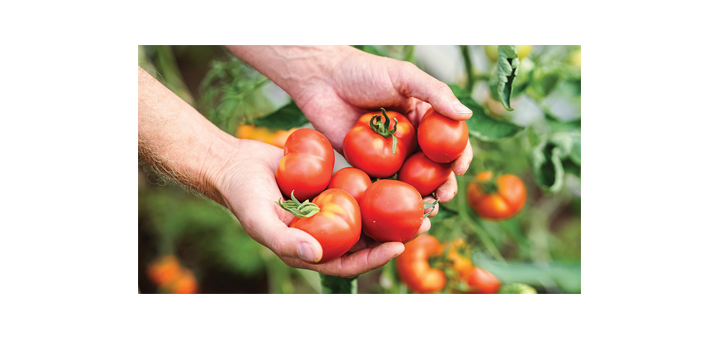 Make or Break It Time for the Summer 2025 Growing Season