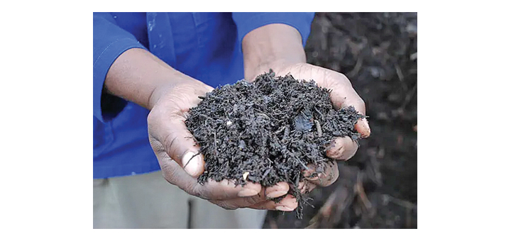 Should I Prepare My Soil Now or Wait Until Spring?